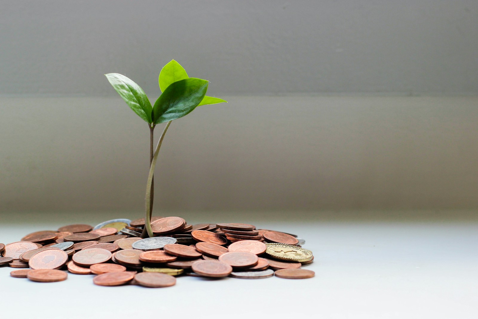 Estate Planning